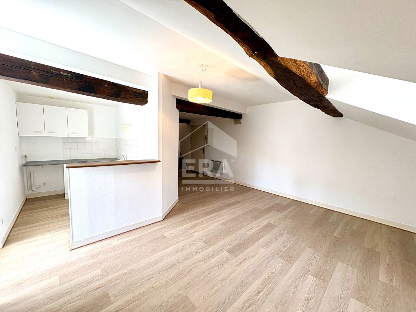 Appartement Grands Degrés Saint-Louis à Blois
