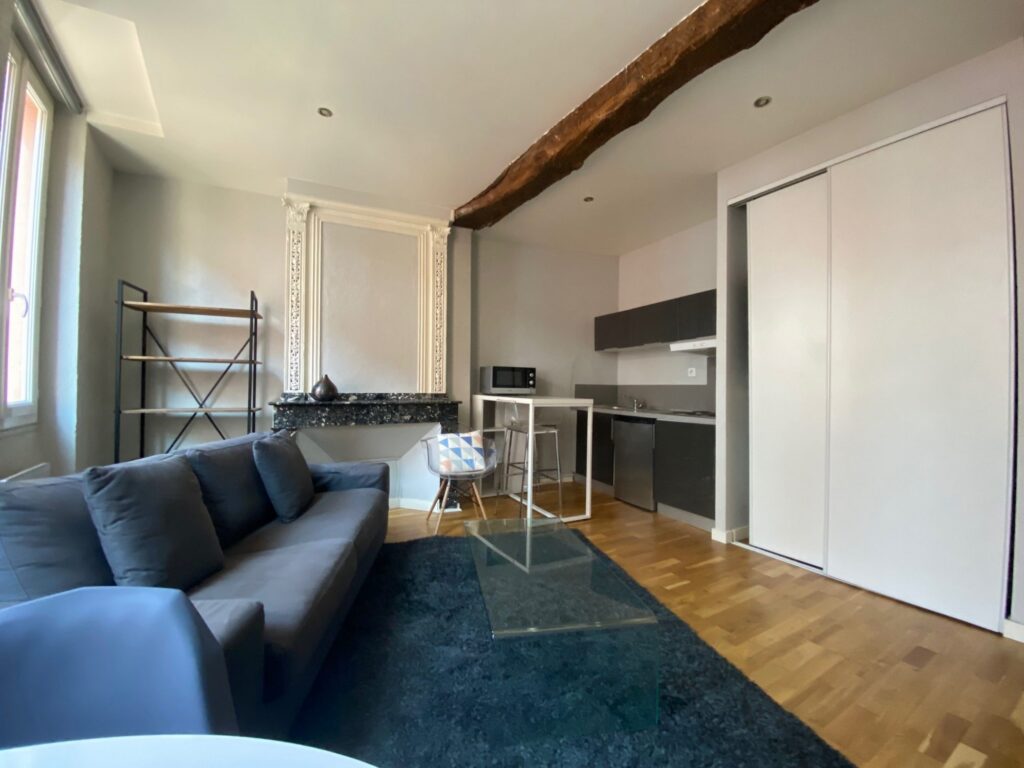 Flat Rue Alfred Duméril in Toulouse