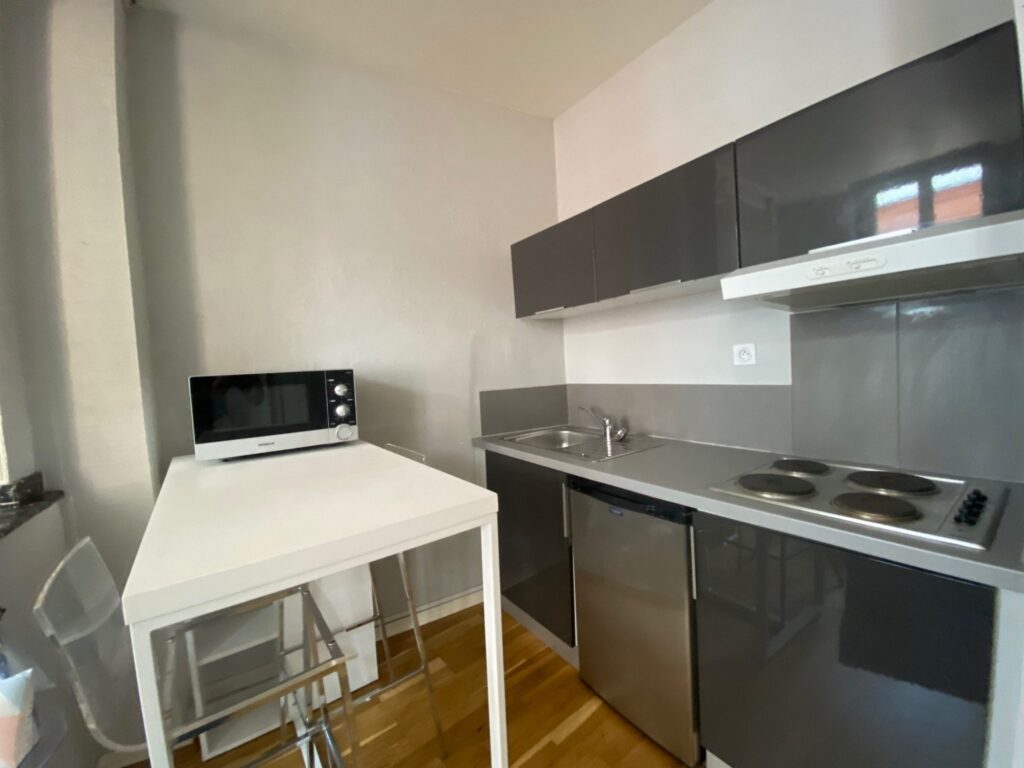 Flat Rue Alfred Duméril in Toulouse