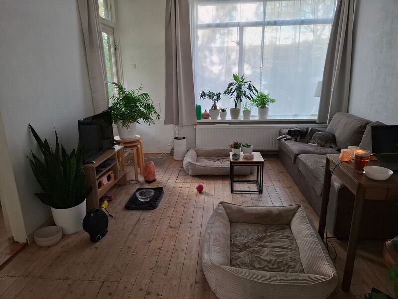 Appartement Hackfortstraat 9