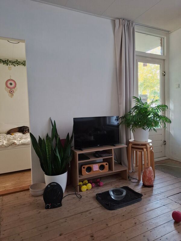 Appartement Hackfortstraat 3