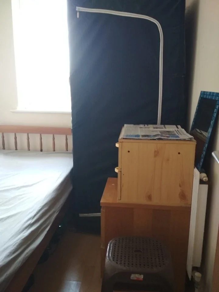 Room Ibstone Avenue in Milton Keynes