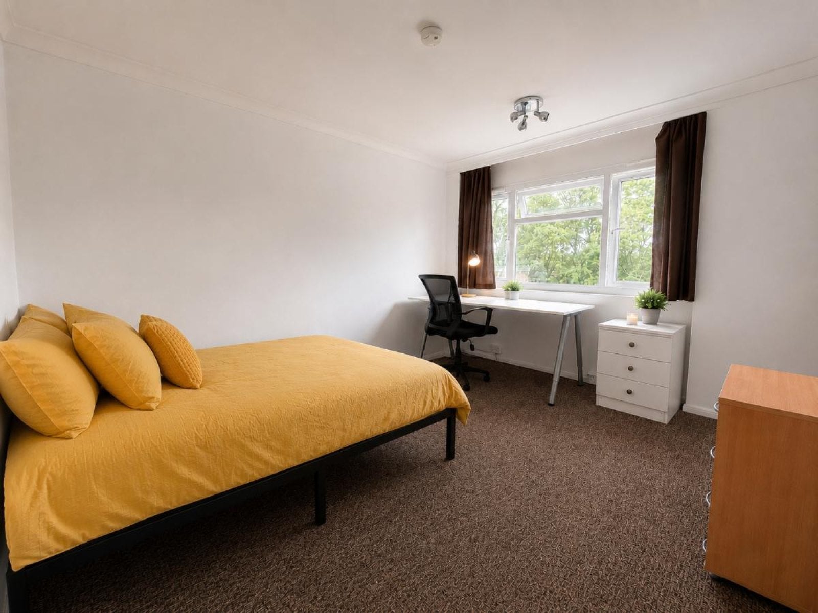 House Nethersole Close in Canterbury