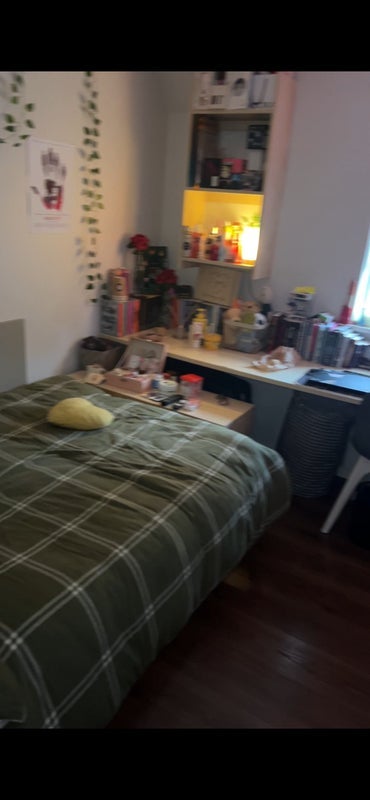 Room Ashton Street in Liverpool