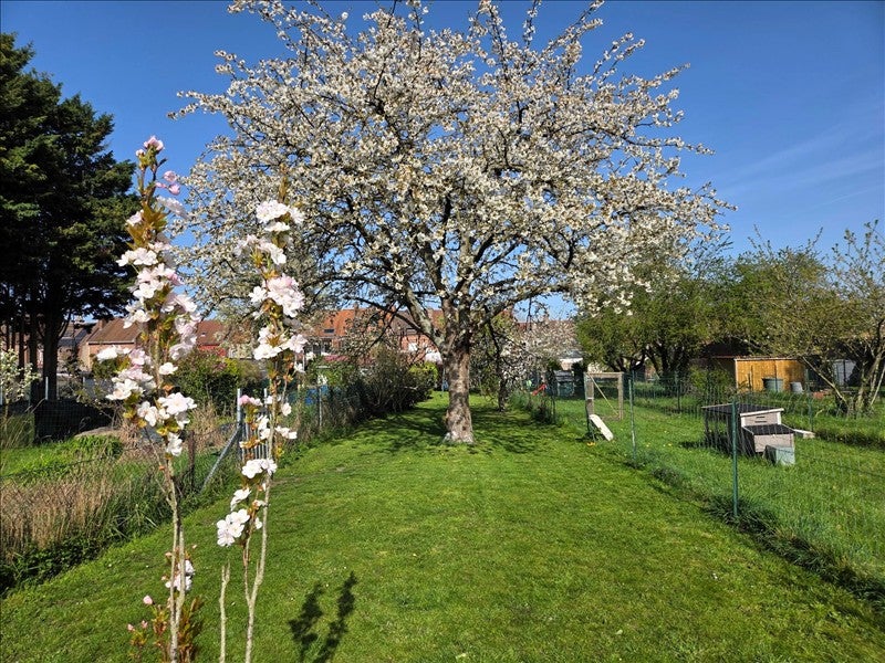 Maison Rue Pierre Brossolette à Hénin-Beaumont