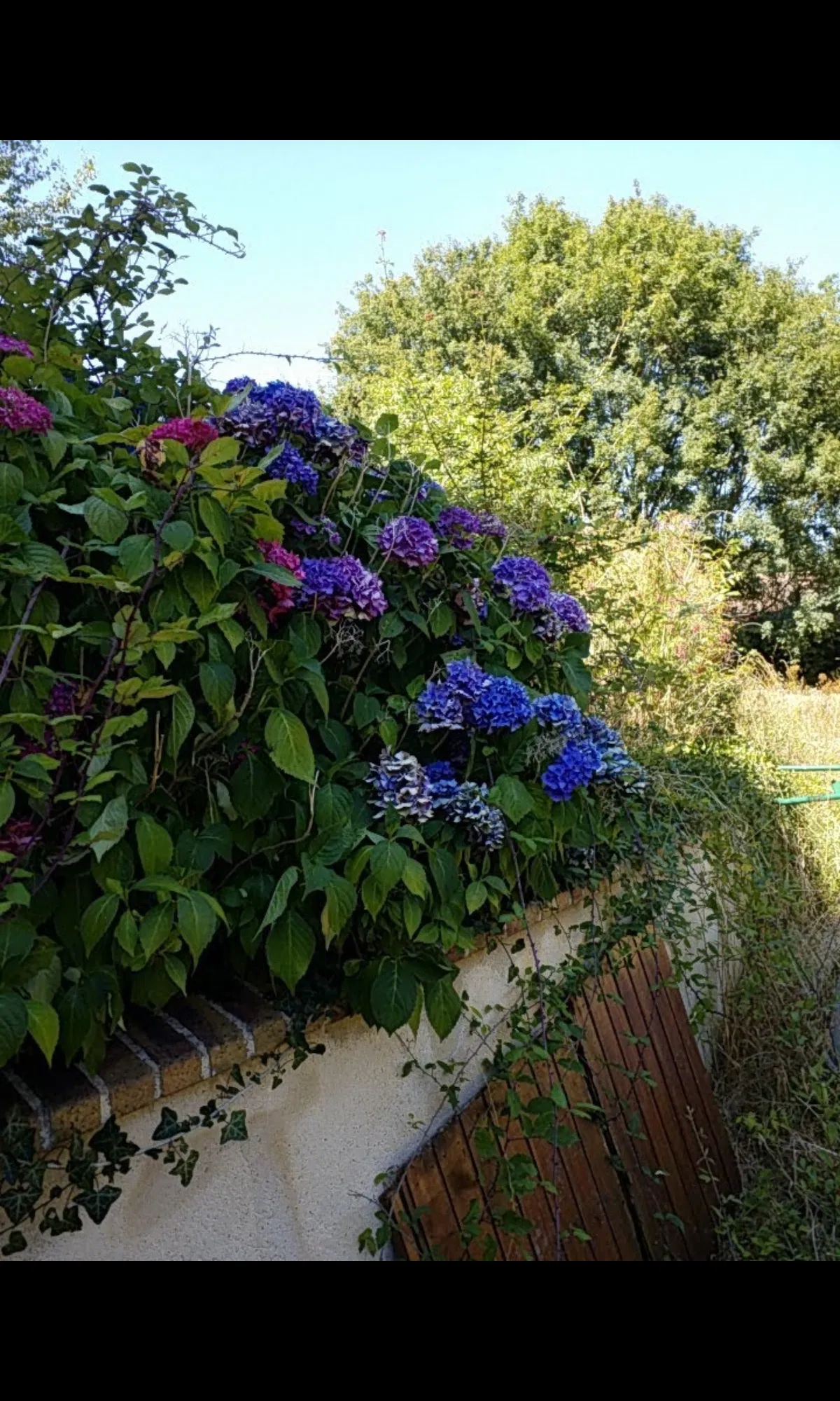 Chambre Rue de la Belle Arrivée à Arcisses