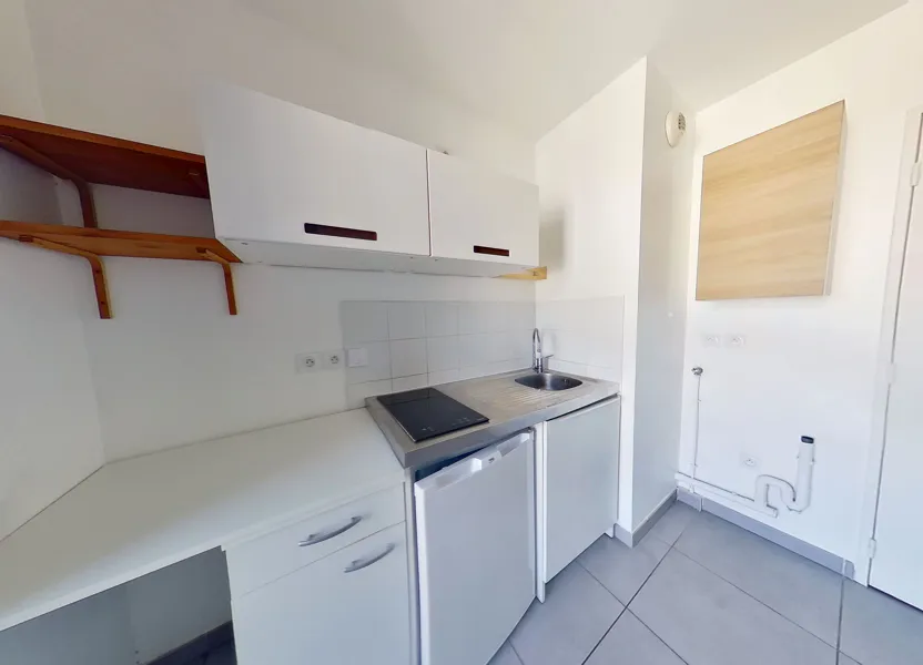 Flat Rue du Professeur Joseph Nicolas in Lyon