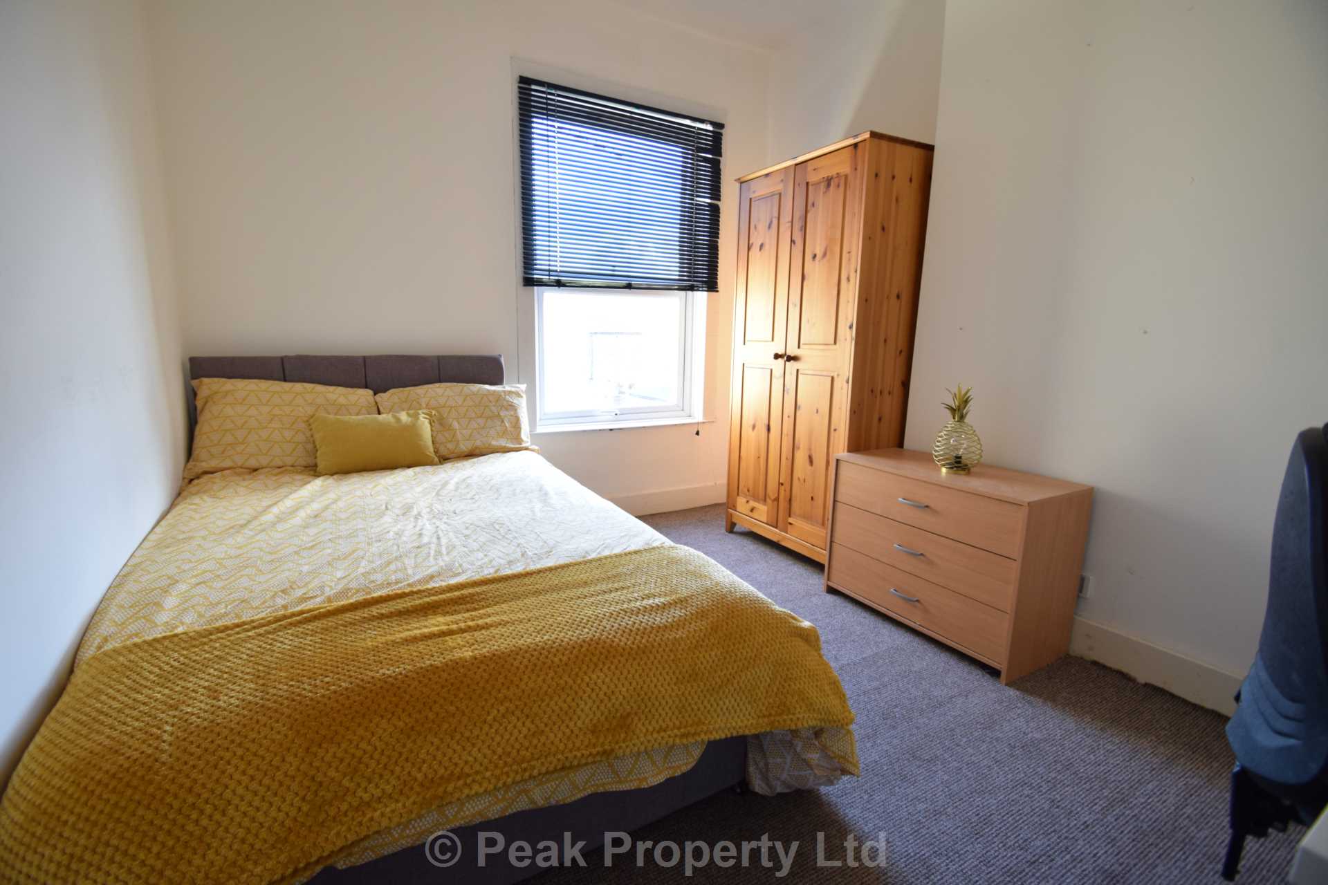 Room Albert Road in Southend-on-Sea