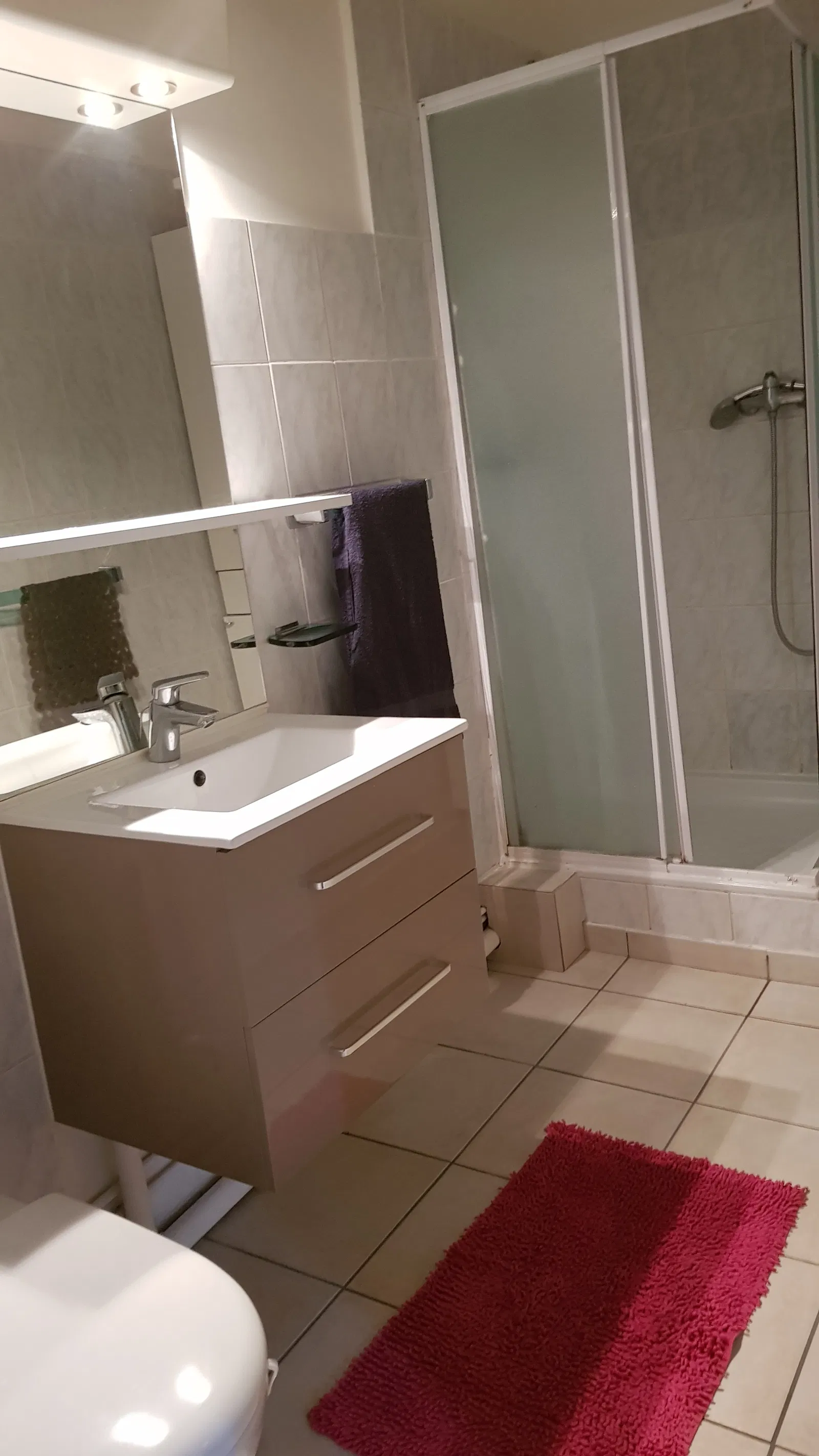 Appartement Avenue d'Uriage à Vaulnaveys-le-Haut