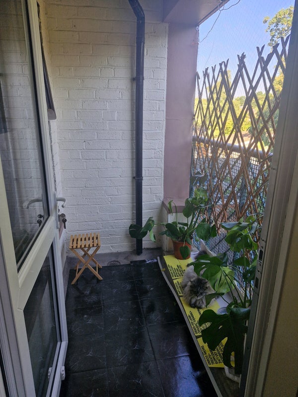 Room Riddfield Road in Birmingham