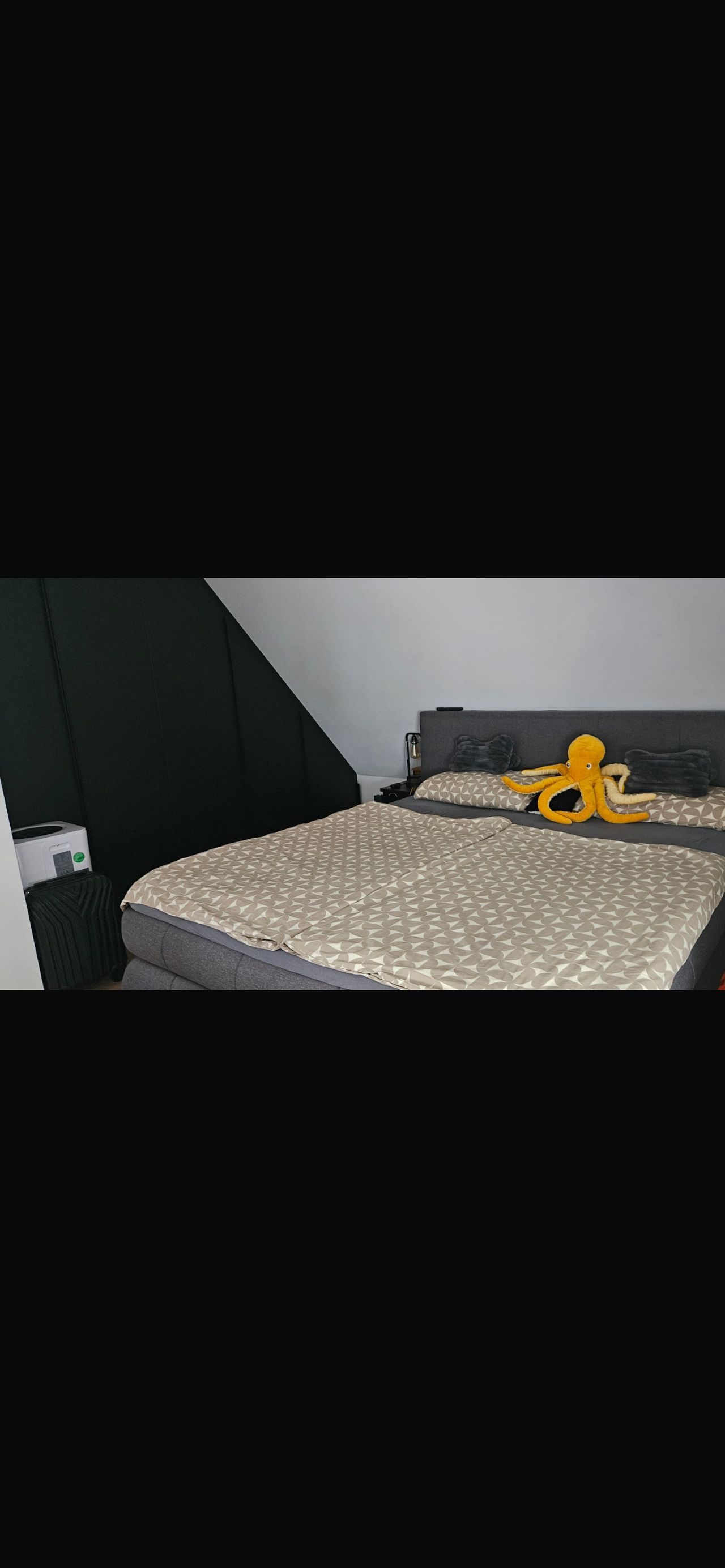 Wohnung Friedrichstraße in Friedrichshafen