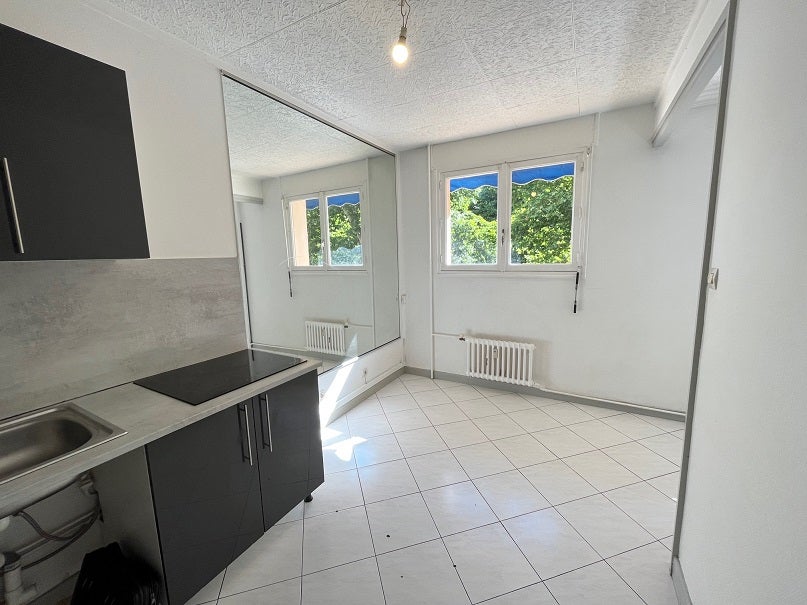 Flat Cours Fauriel in Saint-Étienne