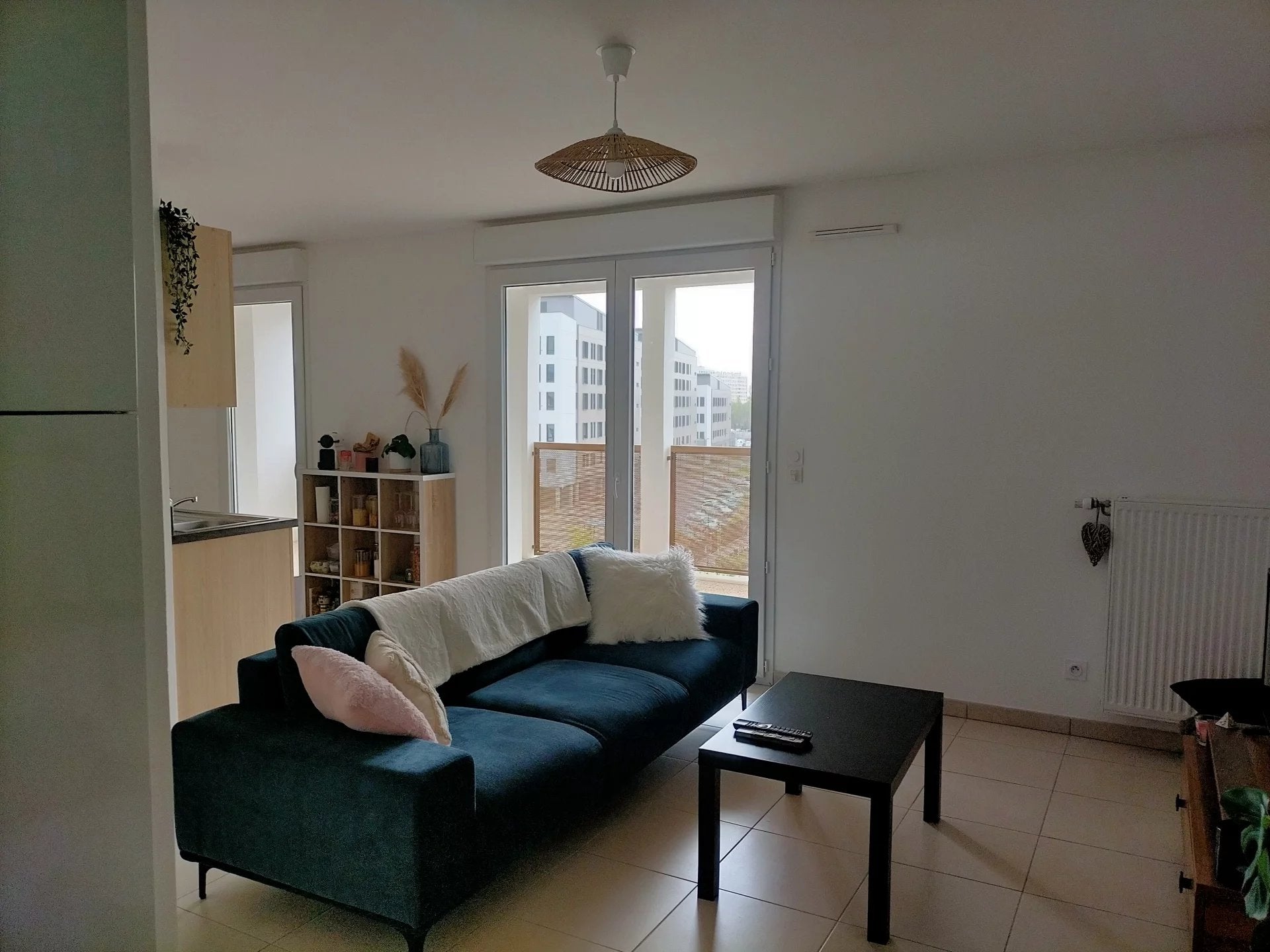 Appartement Rue Léon Blum à Villeurbanne
