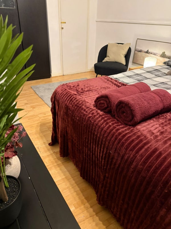 Room Ravenet Street in Greater London