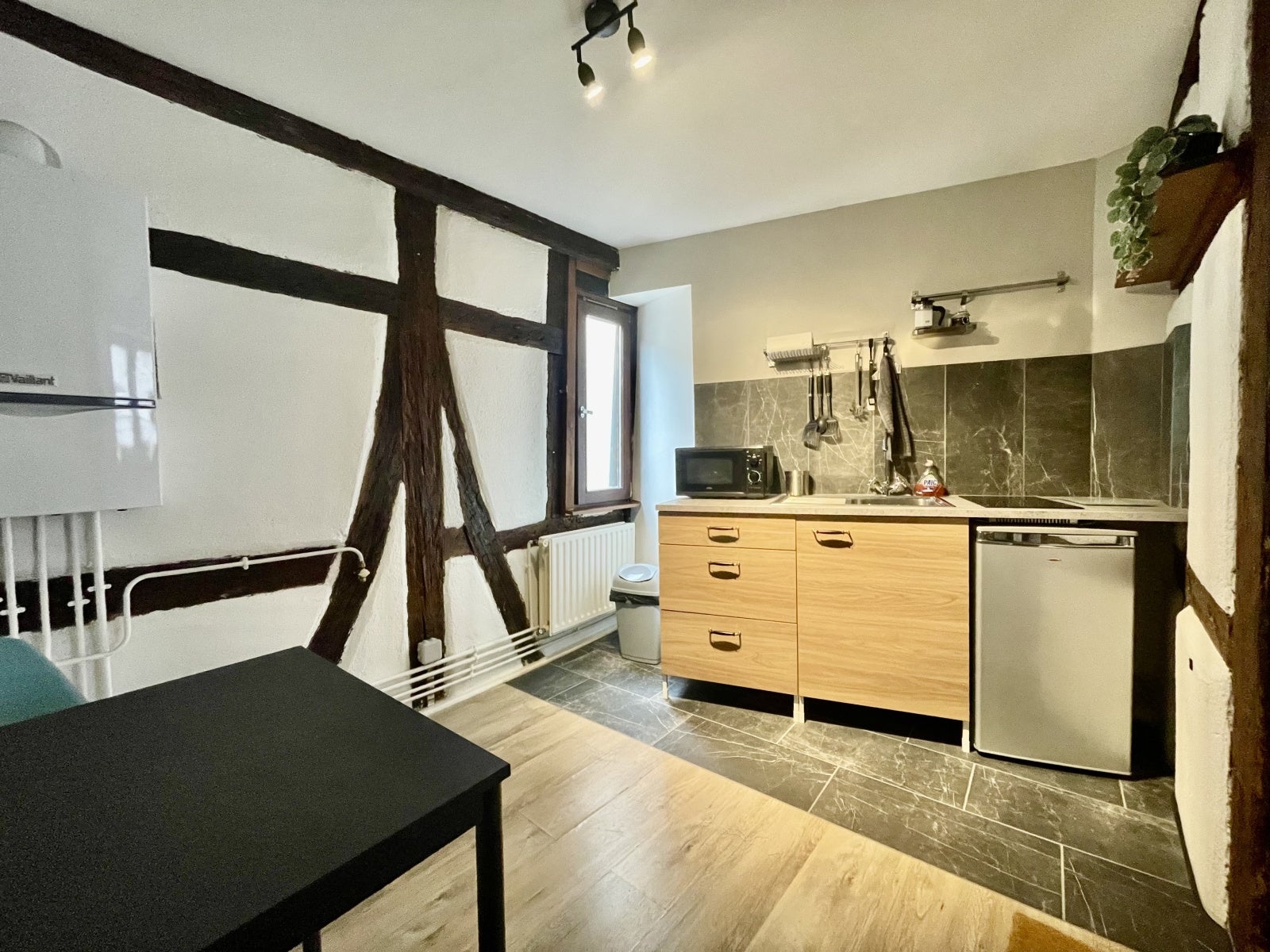 Flat Rue de la Grenouillère in Colmar