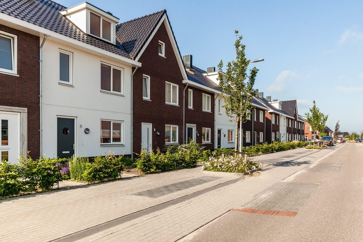 Holvastwerf