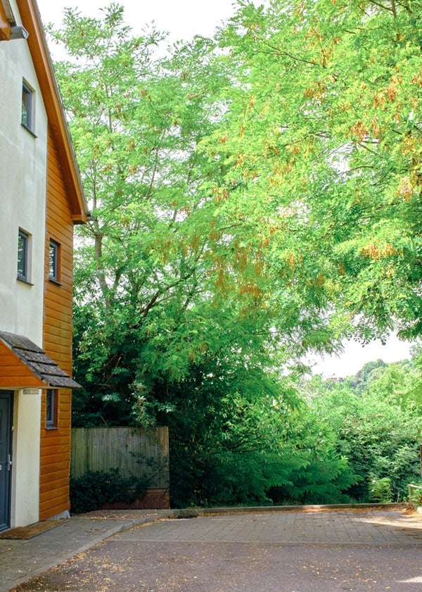 House St Georges Close in Thorne
