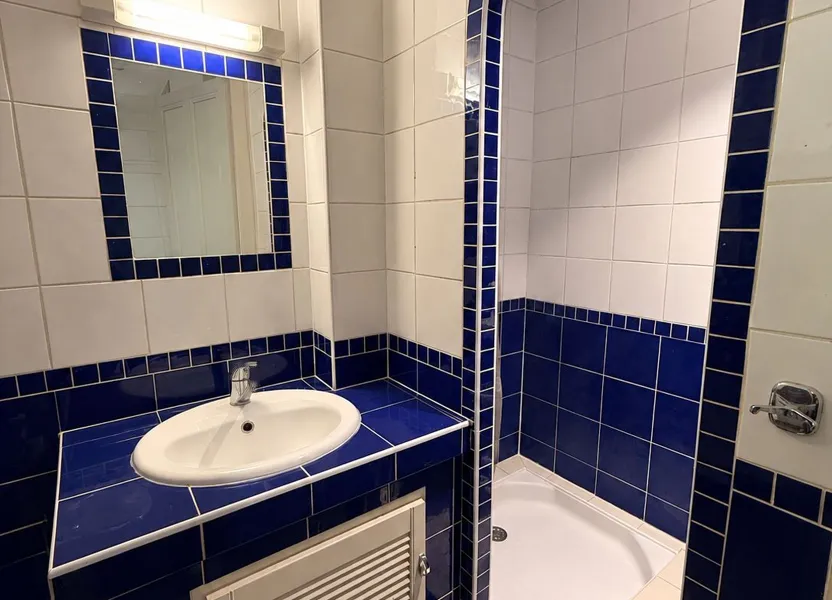 Appartement Avenue Gambetta à Romans-sur-Isère