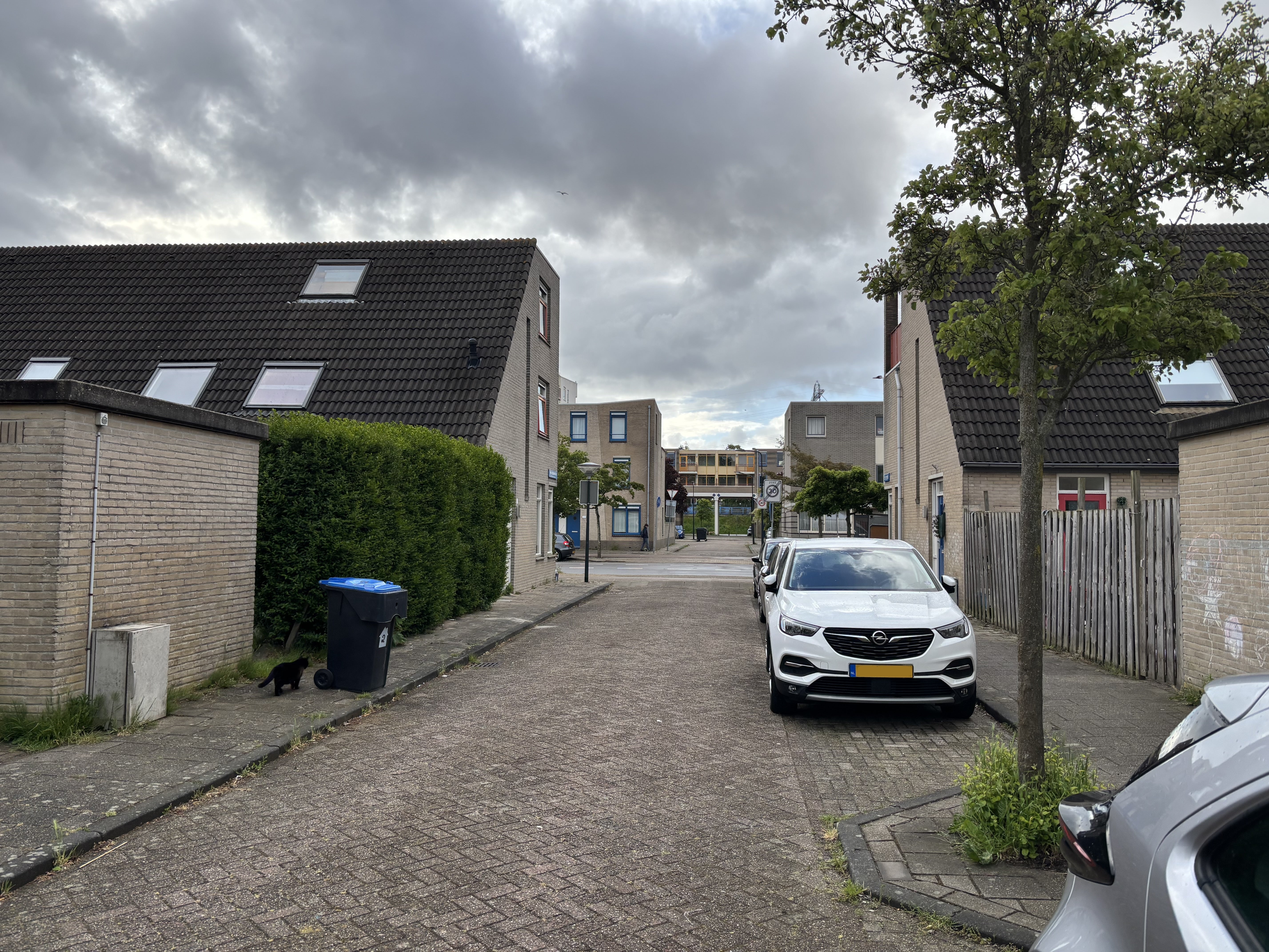 Huis Mina Krusemanstraat 5 in Leiden