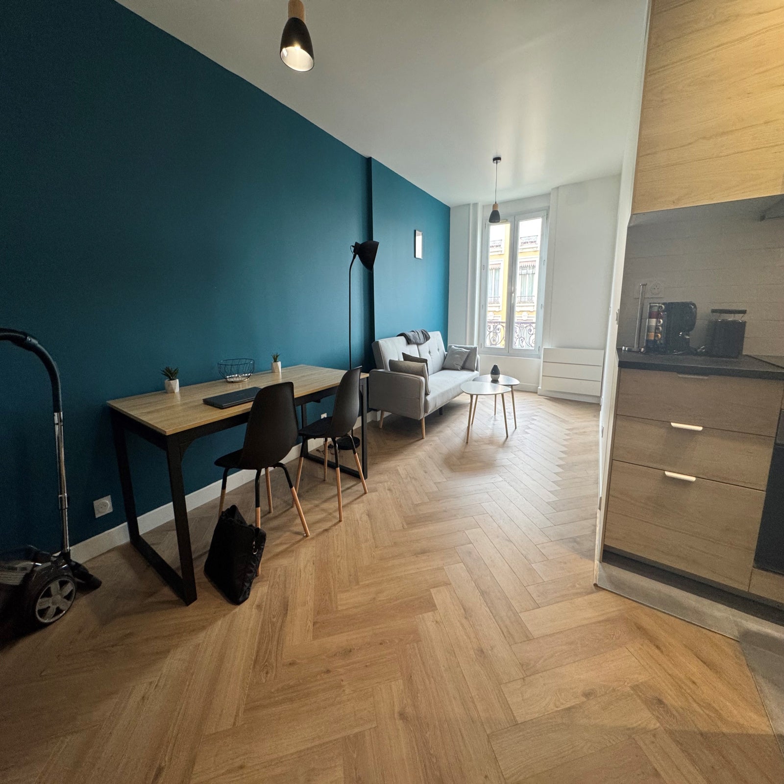 Appartement Cours Tolstoï à Villeurbanne