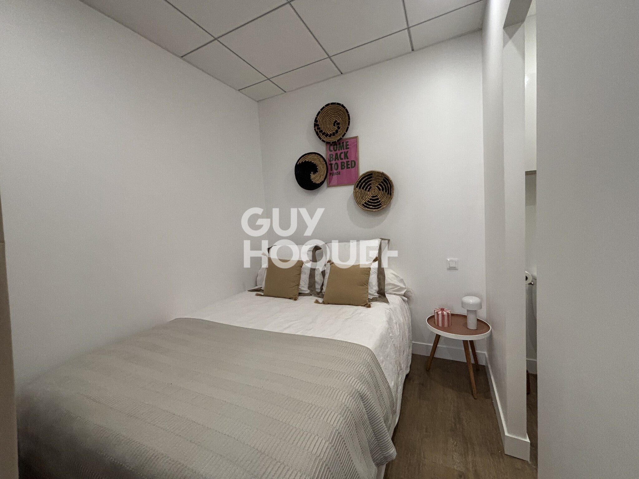 Appartement Rue Adolphe Coll à Toulouse