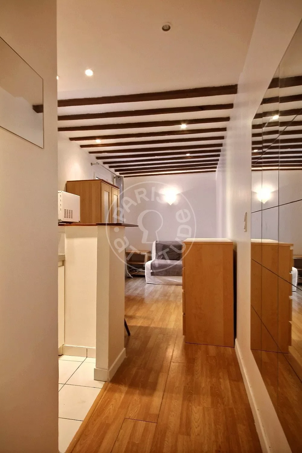 Flat Rue Cambronne in Paris