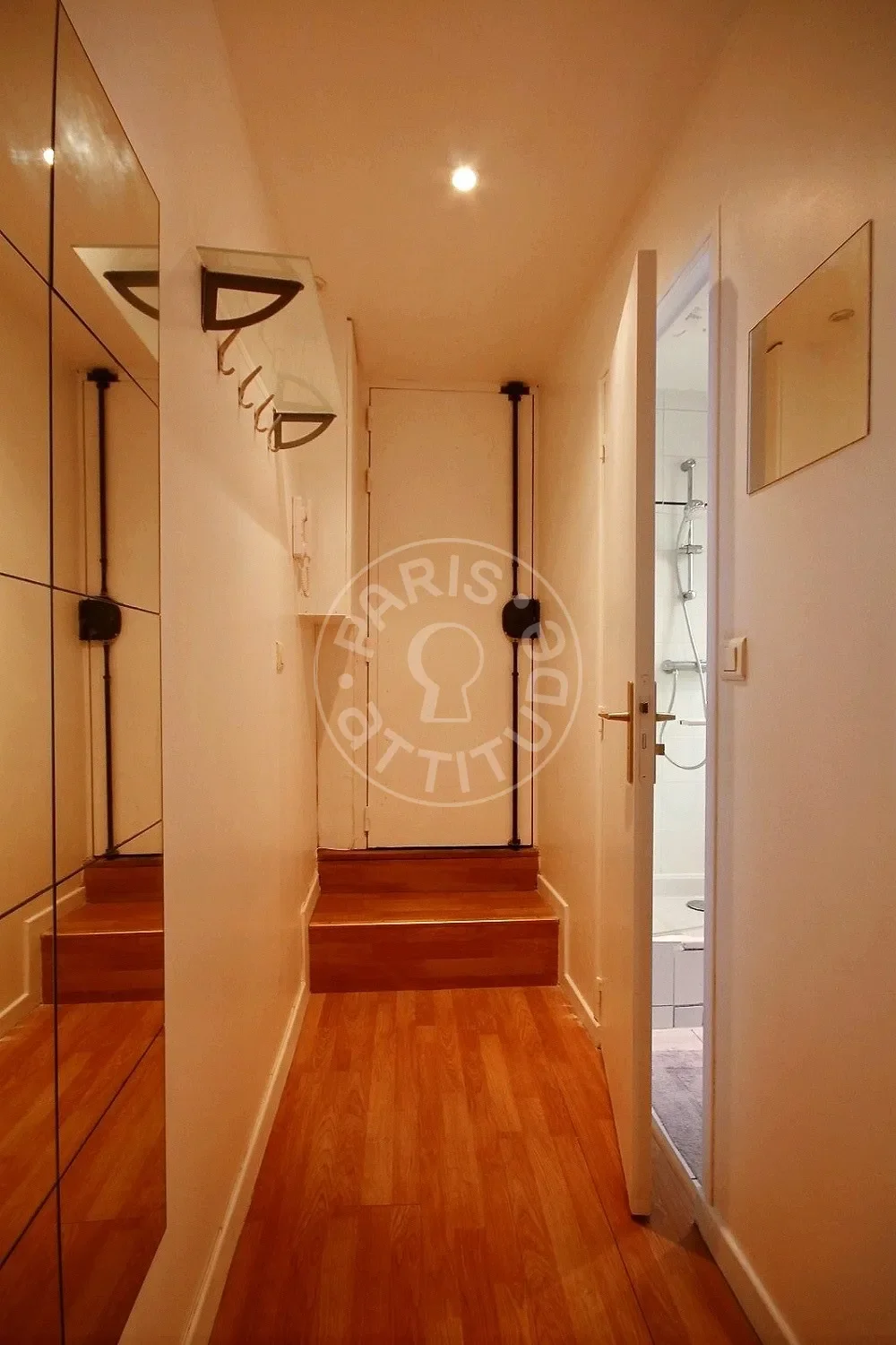 Flat Rue Cambronne in Paris
