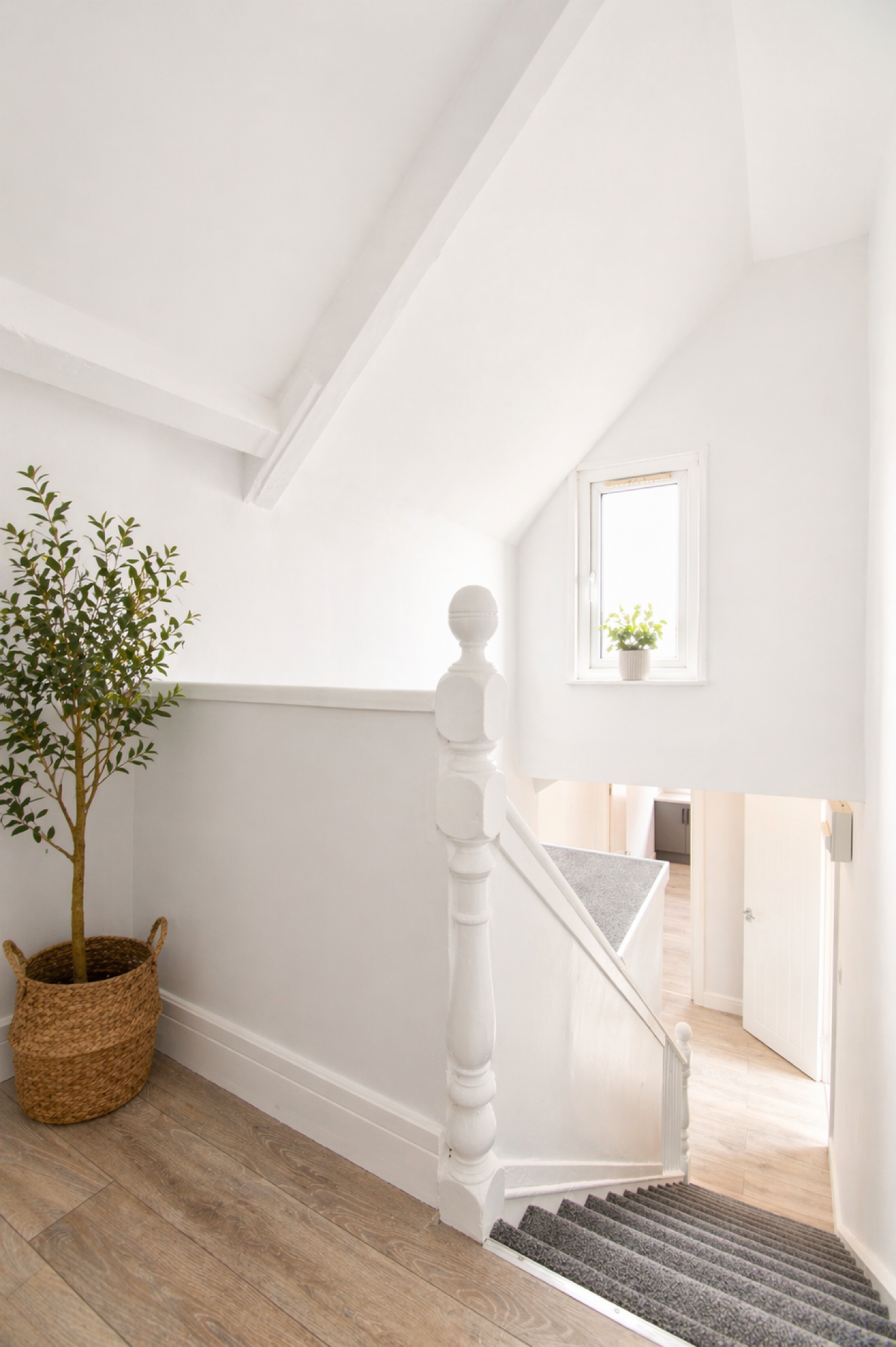 Flat Cathays Terrace in Cardiff