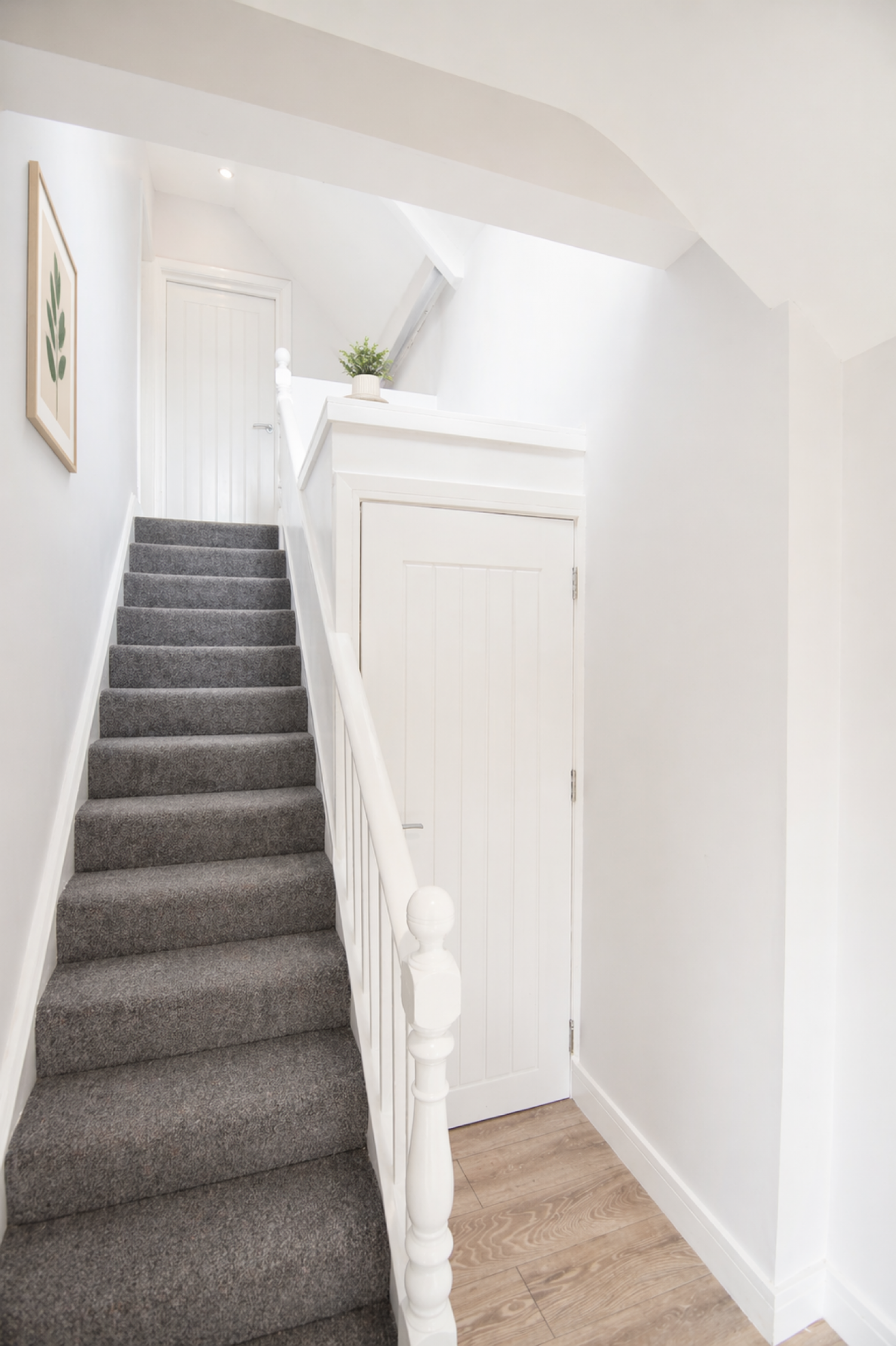 Flat Cathays Terrace in Cardiff