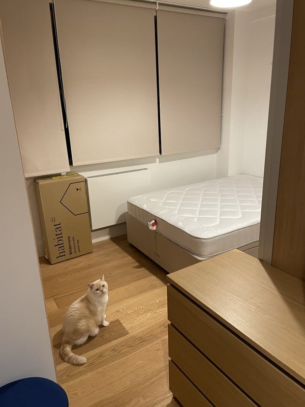 Room Croydon Road in Greater London