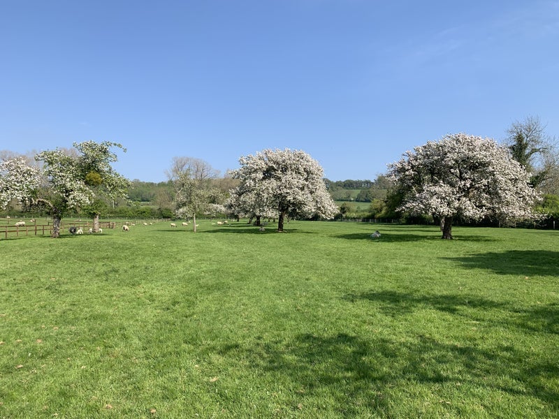 Room Portway Lane in Little Sodbury