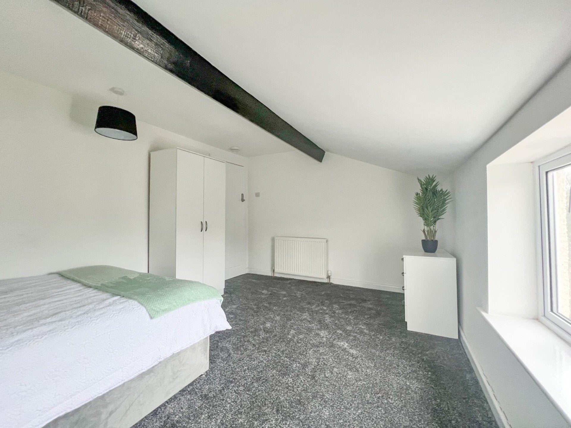 Room The Avenue in Bristol