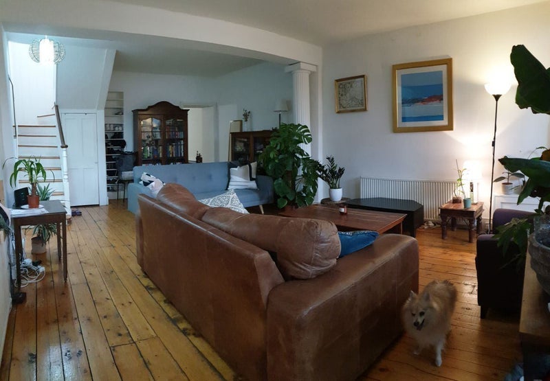 Room Essex Road in Greater London