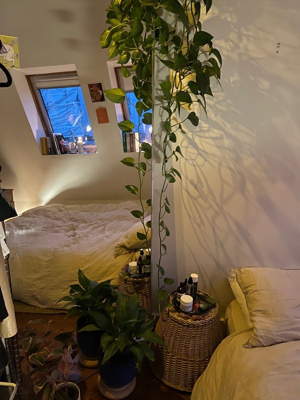 Room Tudor Grove in Greater London