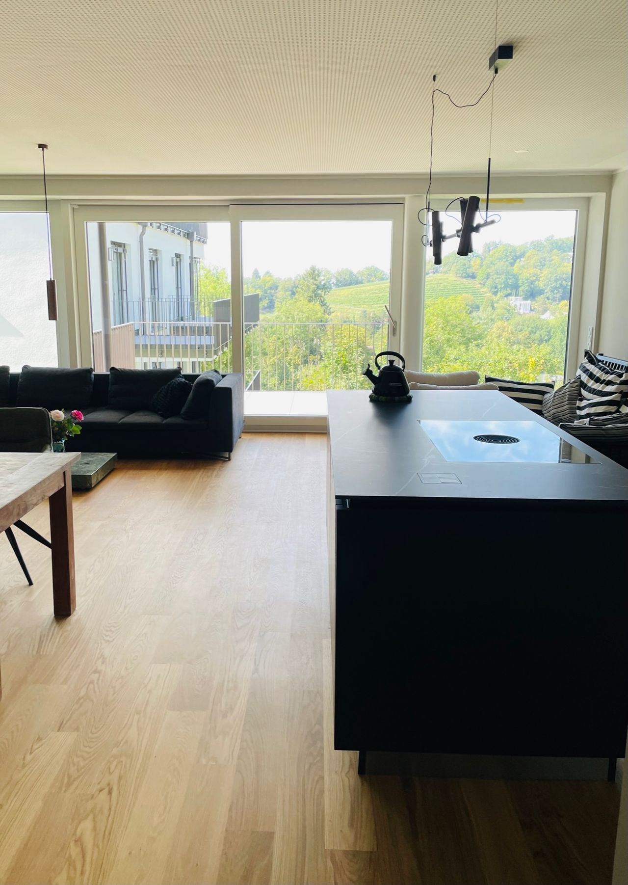 Wohnung Schlangenweg in Freiburg im Breisgau