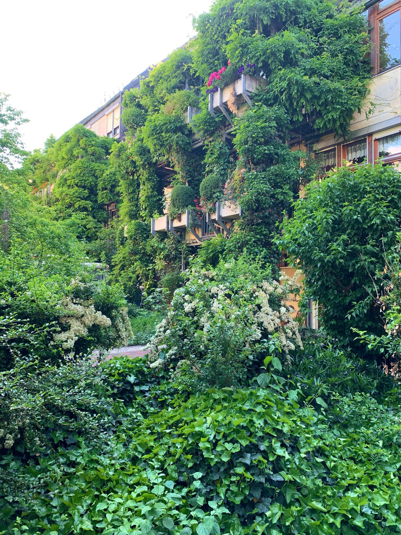 Wohnung Lilienstraße in Fürth