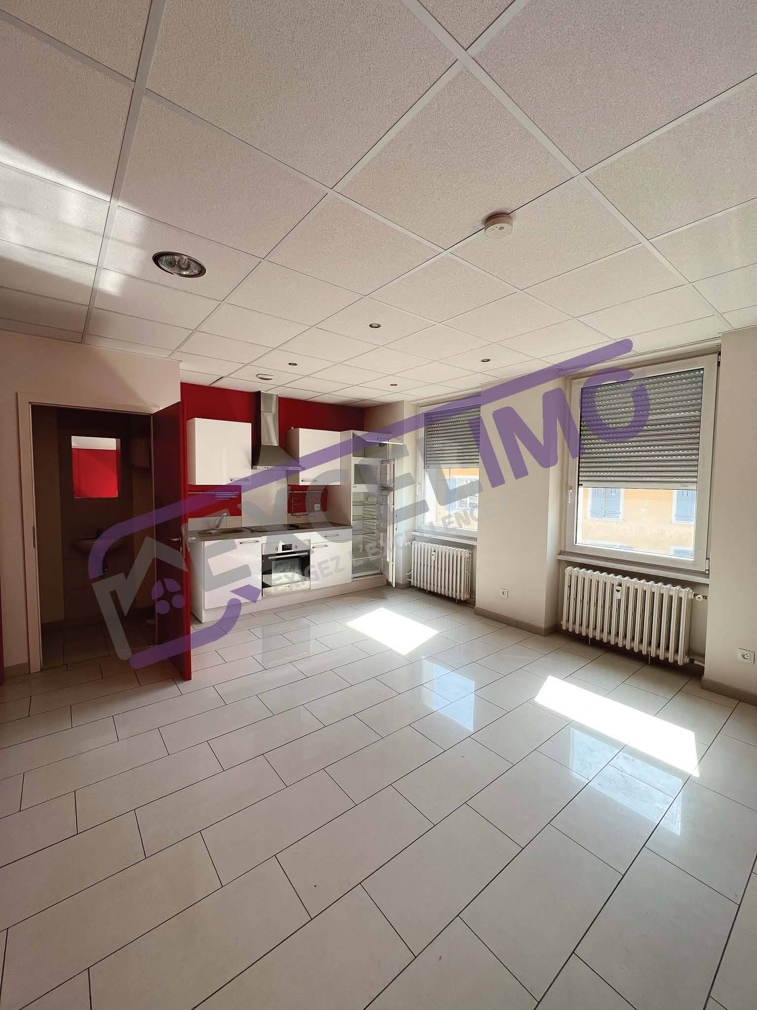 Appartement Rue du Sauvage à Mulhouse