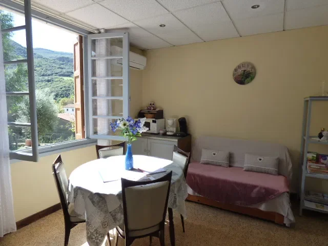 Appartement Carrer del Moli d'en Biosa à Arles-sur-Tech