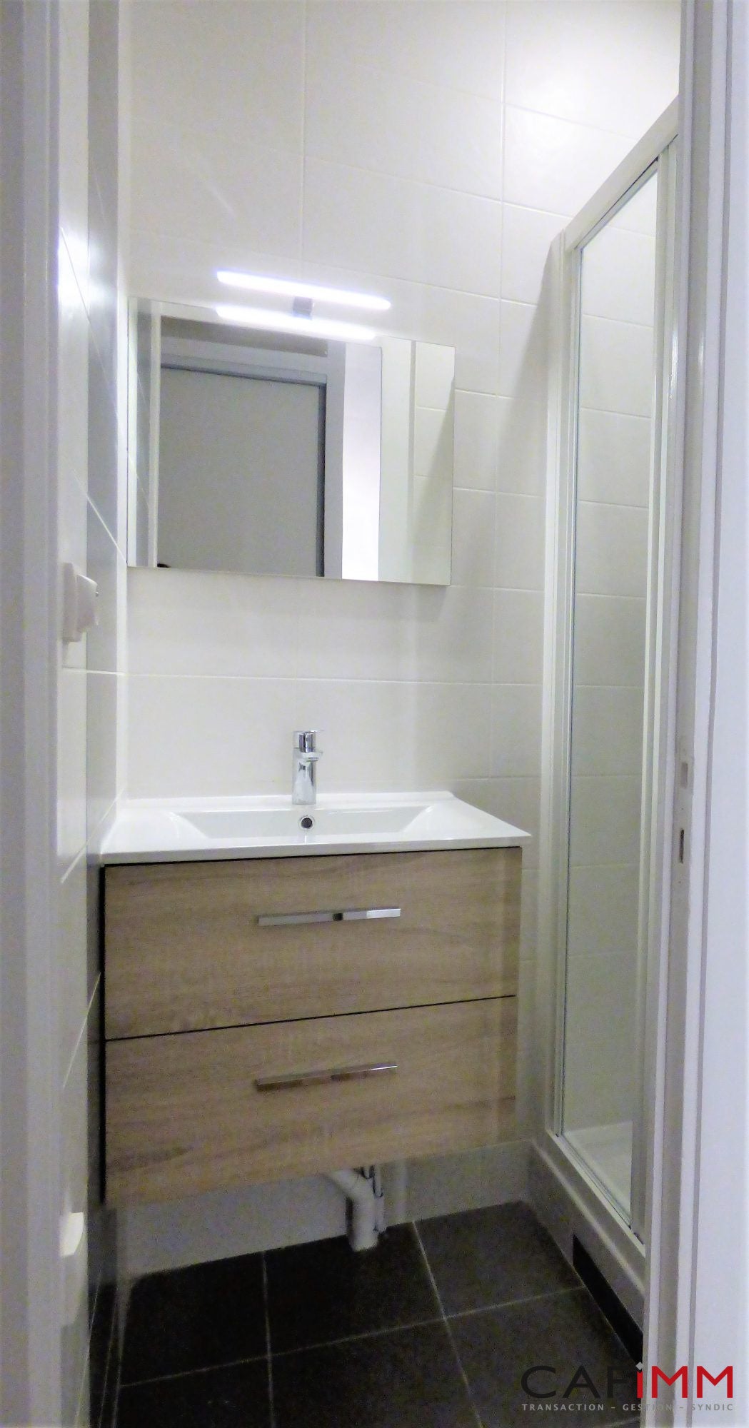 Flat Rue Chevreul in Lyon