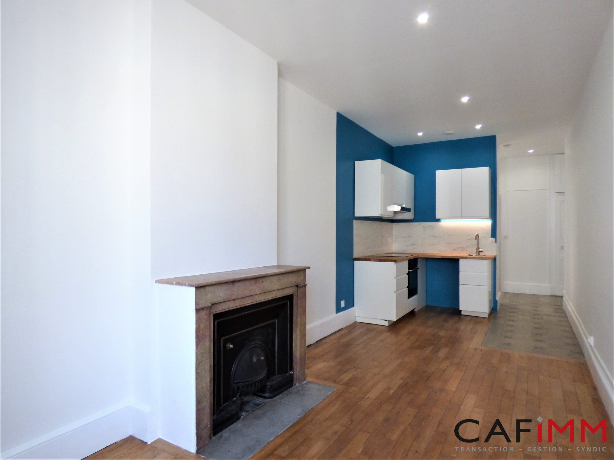 Flat Rue Chevreul in Lyon
