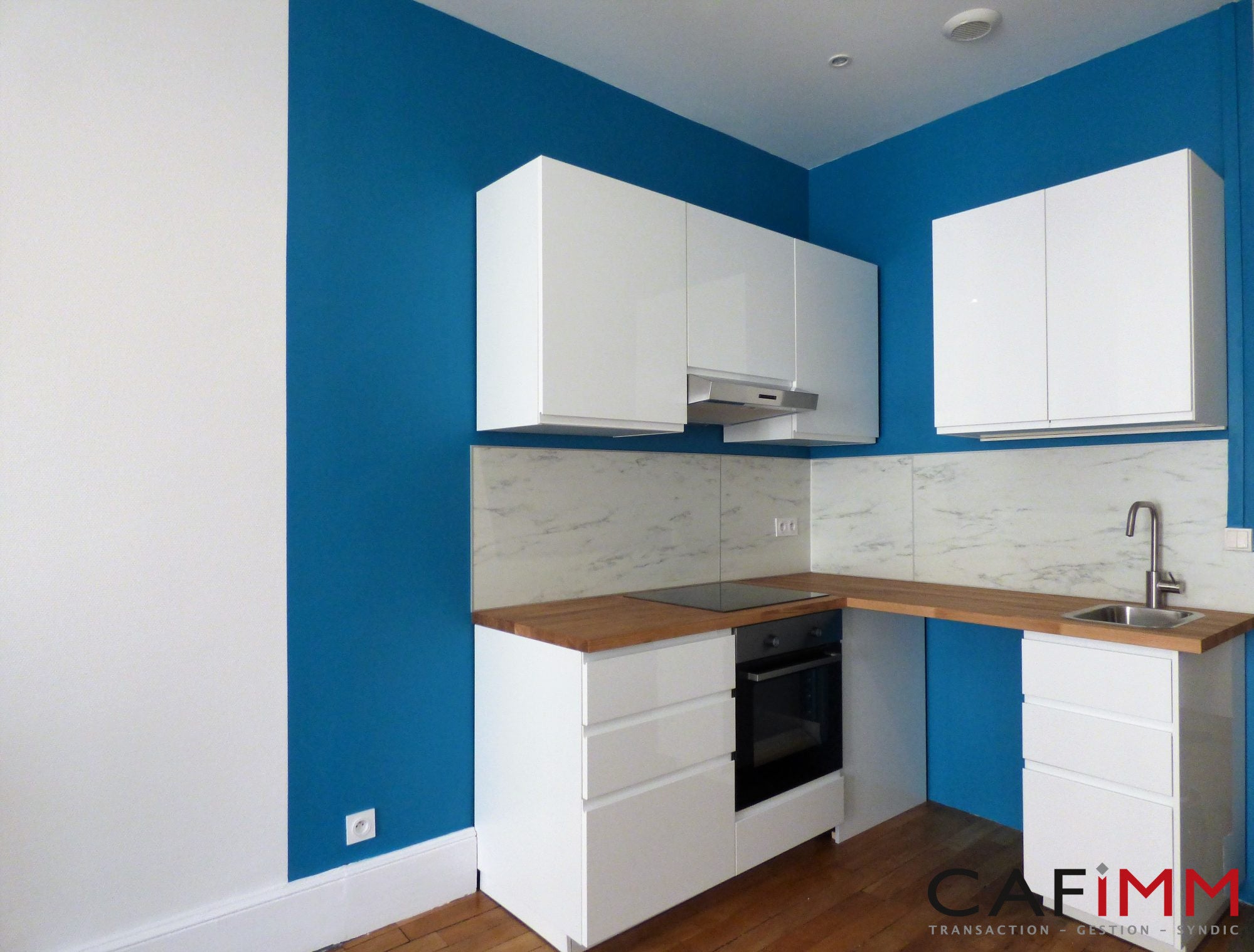 Flat Rue Chevreul in Lyon