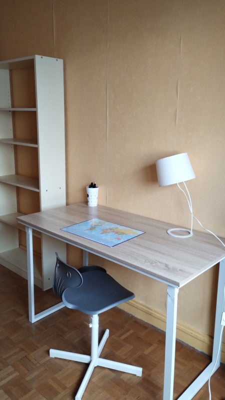 Room Avenue Lacassagne in Lyon