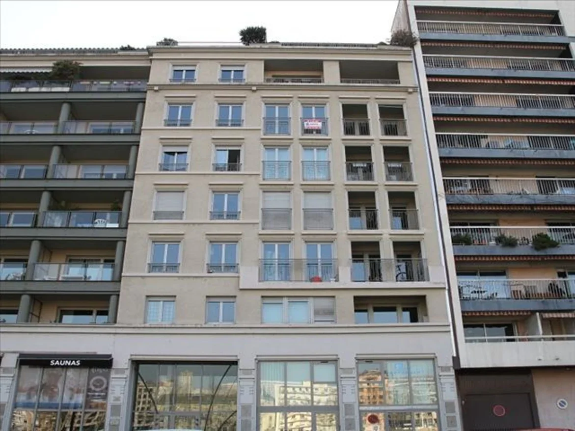 Flat Quai Joseph Gillet in Lyon
