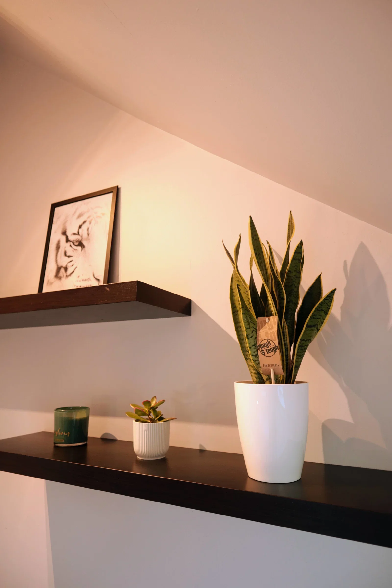 Room Rue Georges Mandel in Lille