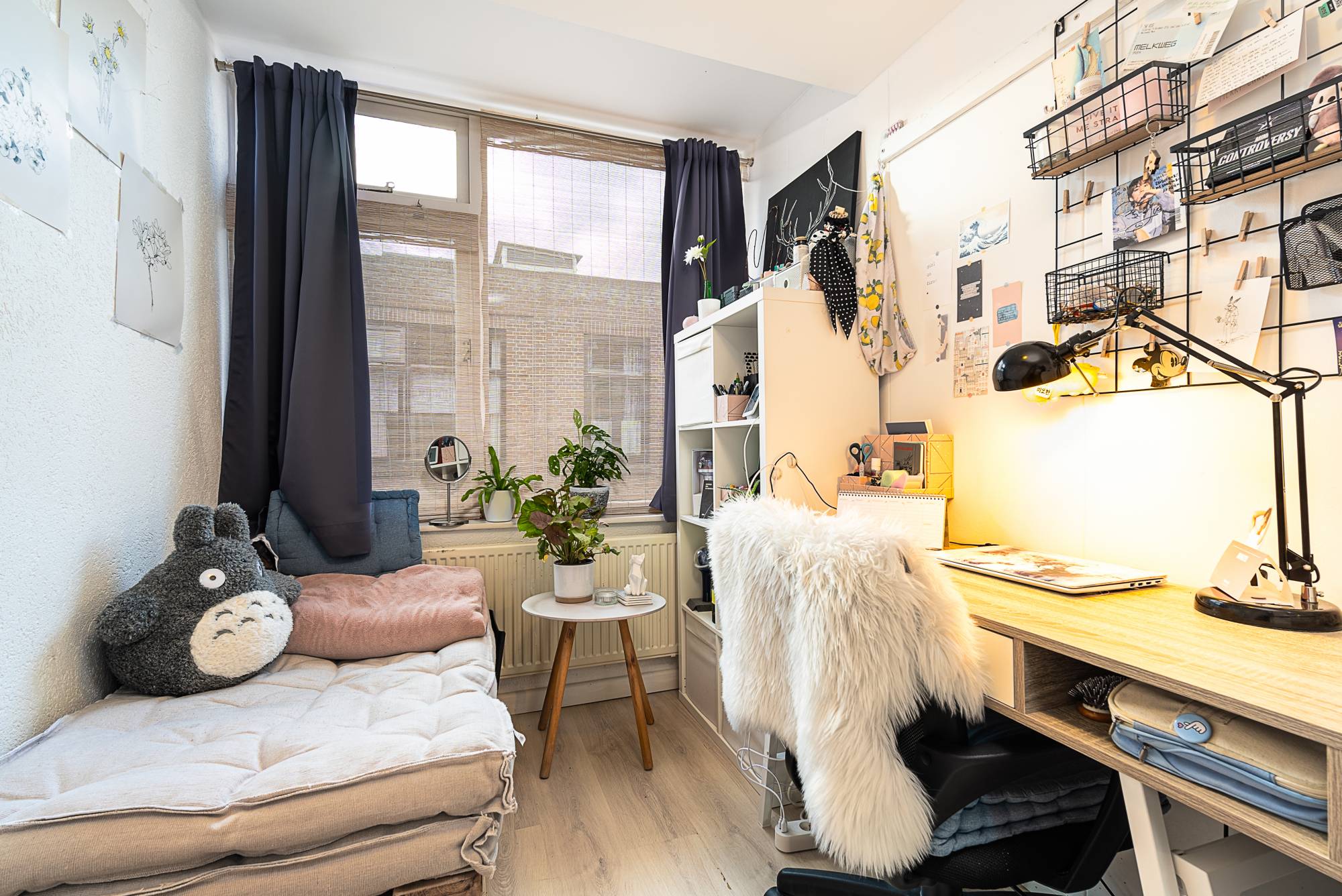 Kamer Tollensstraat in Leiden
