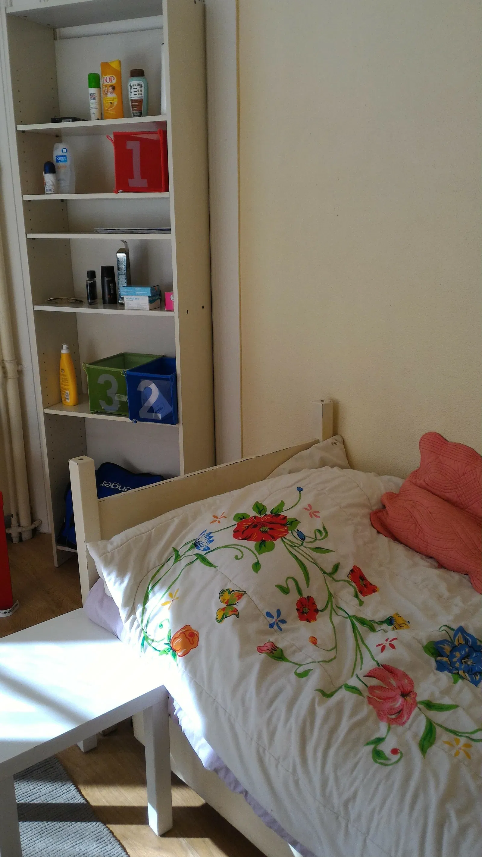 Room Rue Longue in Lyon