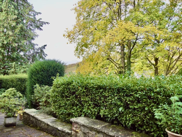 Wohnung Wolkenbruch in Wiesbaden
