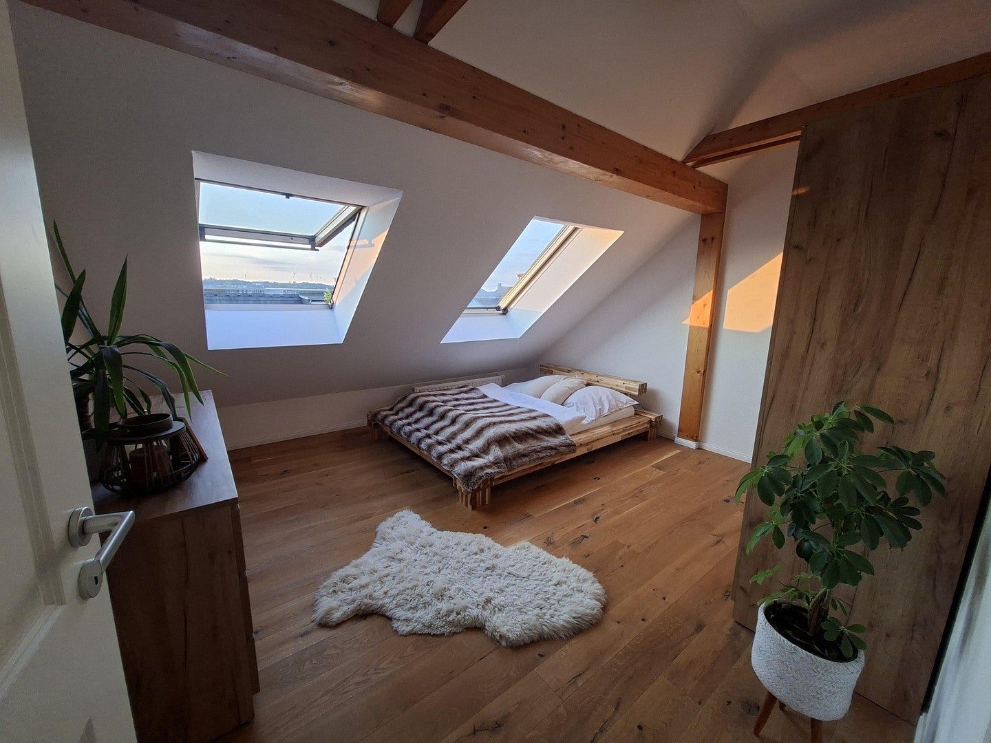 Wohnung Lutherstraße in Zwickau