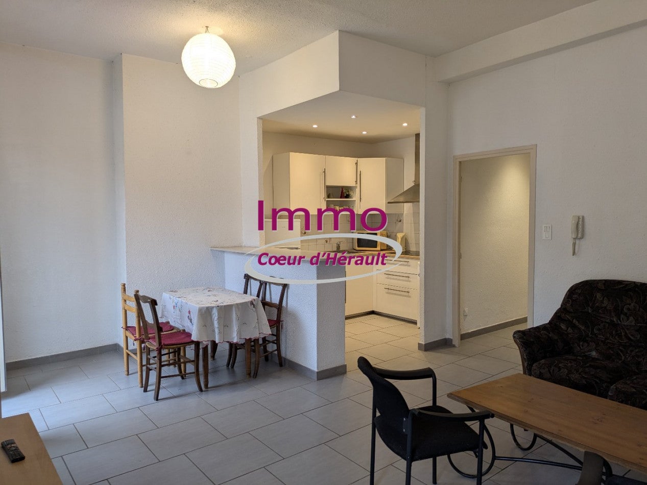 Appartement Place Jules Balestier à Clermont-l'Hérault