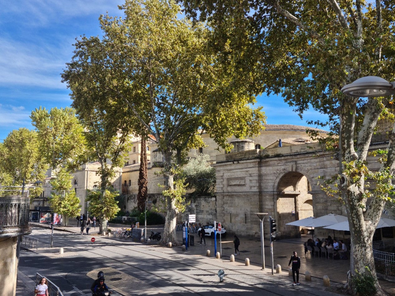 Appartement Avenue Albert Einstein à Montpellier